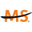 Logo National Multiple Sclerosis Society-Lone Star