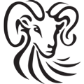 Logo WSP Textiles Ltd.