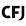 Logo Centre de Formation des Journalistes