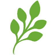 Logo Wealthstream Advisors, Inc.