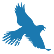Logo PetroCap LLC