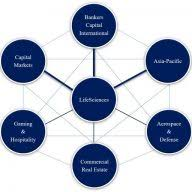 Logo BCI Advisors, Inc.