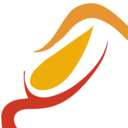 Logo Saif Energy Ltd.