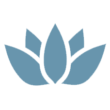 Logo Satori Capital LLC