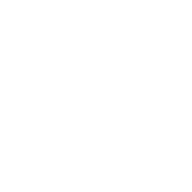 Logo Vistula University