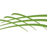 Logo Integrity Capital Management LLC