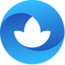 Logo Health Revenue Assurance Holdings, Inc.