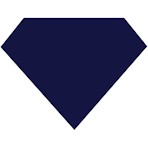 Logo R2Net LLC