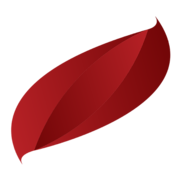 Logo Tenzing Ltd.
