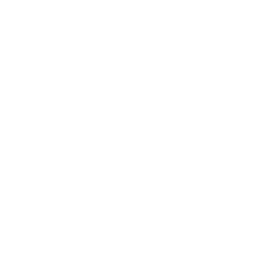 Logo API Restauration SAS