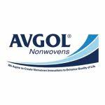 Logo Hubei Gold Dragon Nonwoven Fabrics Co., Ltd.
