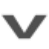 Logo VES Survey International