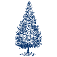 Logo Silver Pine Capital LLC