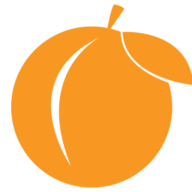 Logo Pro Bono Partnership of Atlanta