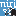 Logo NIRI Virtual Chapter