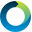 Logo Duncan Solutions Ltd.