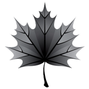 Logo Black Maple Capital Management LP