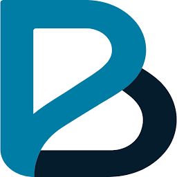 Logo Baldi & Partners S.r.l.