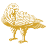 Logo Adcock Private Equity Pty Ltd