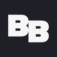 Logo Brave Bison Group Plc
