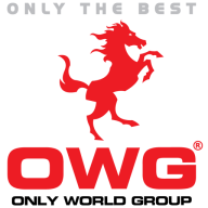 Logo Only World Group Holdings Bhd.