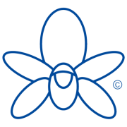 Logo Orchid Cancer Appeal