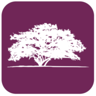 Logo Alargan Projects