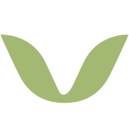 Logo Pilmico International Pte Ltd.