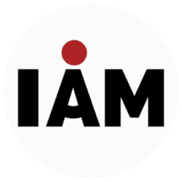 Logo I AM Consulting Co. Ltd.