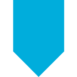 Logo Arcserve (USA) LLC