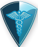 Logo AMSR LLC