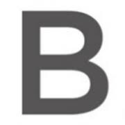 Logo Basalt Infrastructure Partners /Private Equity/