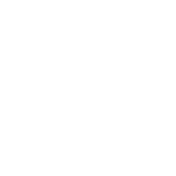 Logo Team Rubicon Inc