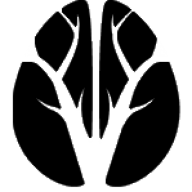 Logo Enigma Biomedical Group, Inc.