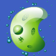 Logo Biophagy, Inc.