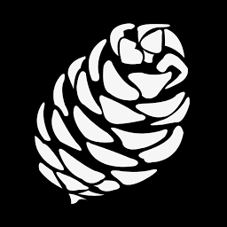 Logo Importo Ltd.