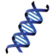 Logo TMG Biosciences LLC