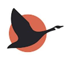 Logo GOOSE Capital, Inc.