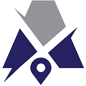 Logo Vizsafe, Inc.