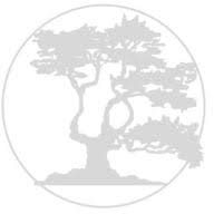 Logo Juniper Capital Advisors LP