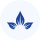 Logo Health City Cayman Islands Ltd.