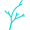 Logo Norselab Holding AS