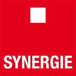 Logo Synergie Hunt International, Inc.