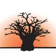 Logo Simeka Capital Holdings Pty Ltd