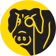 Logo Serious Pig Ltd.