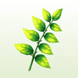 Logo Christian Care Services, Inc.