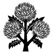 Logo Bodegas Roda