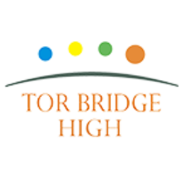 Logo Tor Bridge Academy Trust