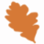 Logo Actiforest SAS