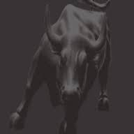 Logo Bullrun Capital, Inc.